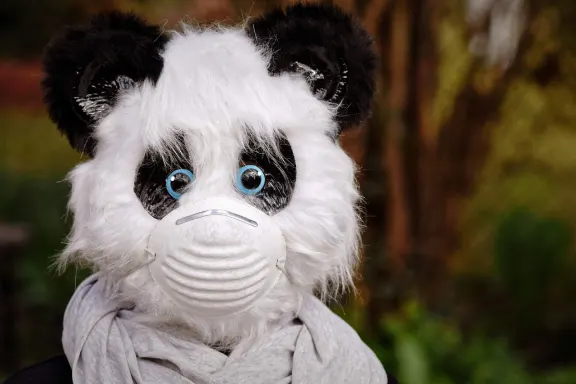 Kaszinó Rich Prize Támogatás